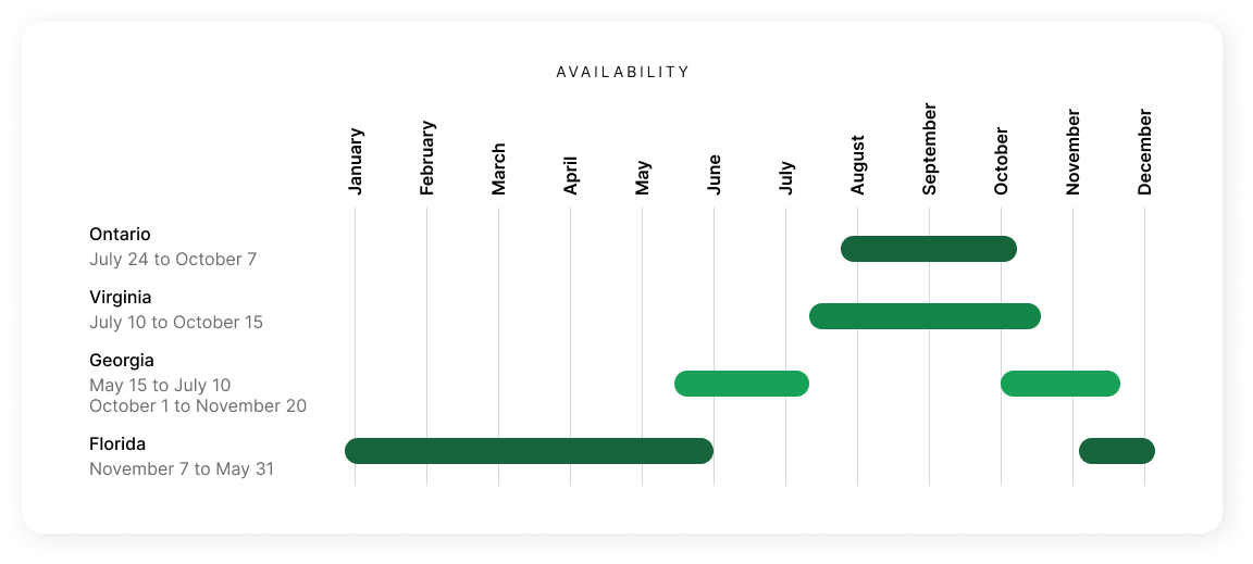 Microsoftteams Image (20)