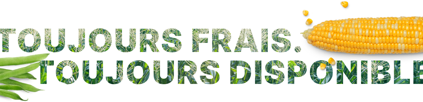 Always Fresh Graphic Fr Desktop 1440px