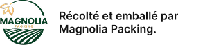 Magnolia Logo Tagline French