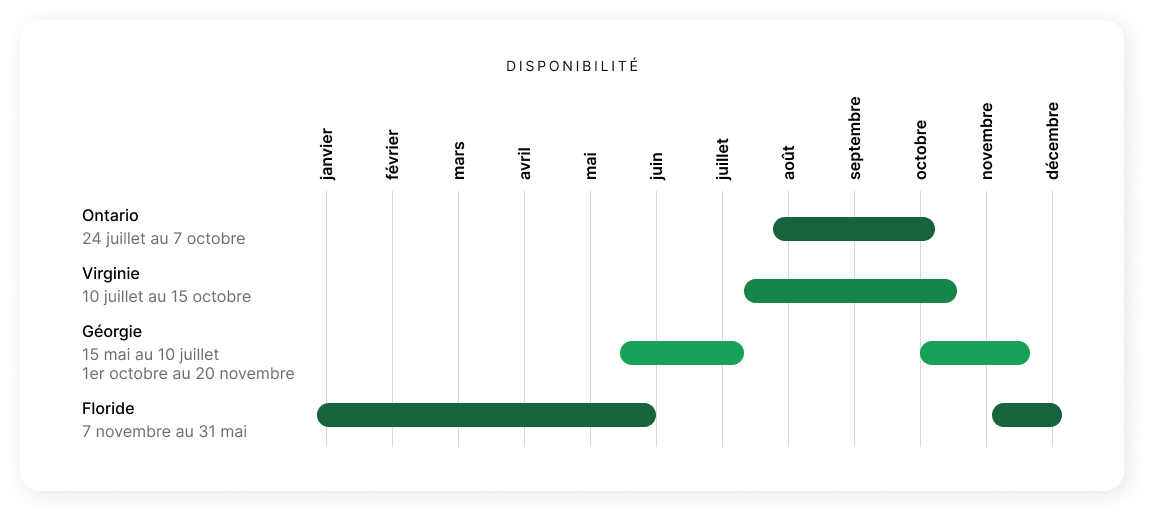 Product Chart Section French